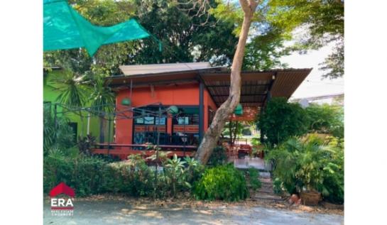 ��¸�áԨ ���ͧ���ͧ���ͧ