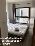 ������ �͹�