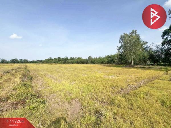 ���Թ �ԨԵ� 