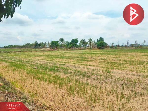 ���Թ �ԨԵ� ����ӹѡ�ҹࢵ