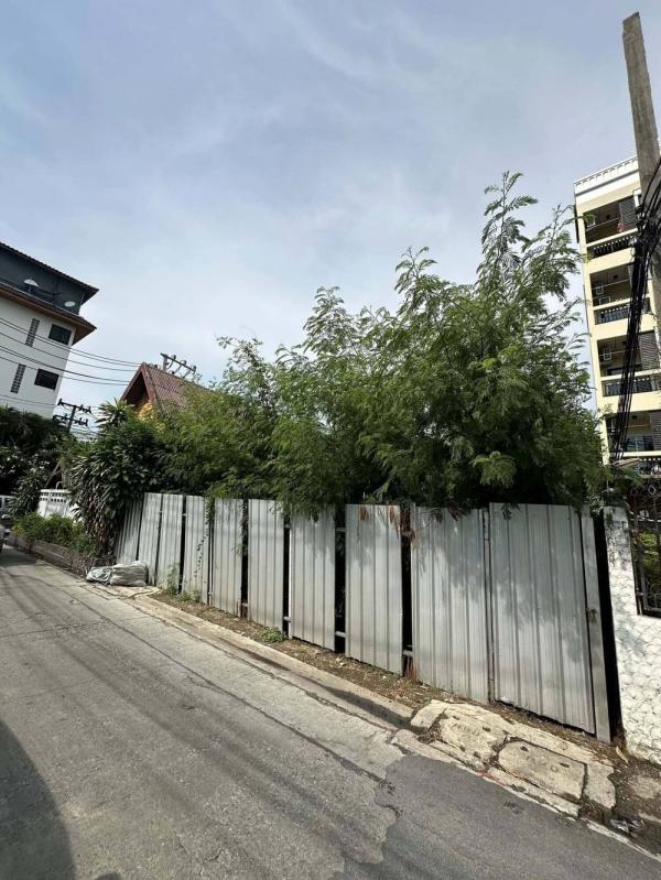 ���Թ 77 ���ҧ��