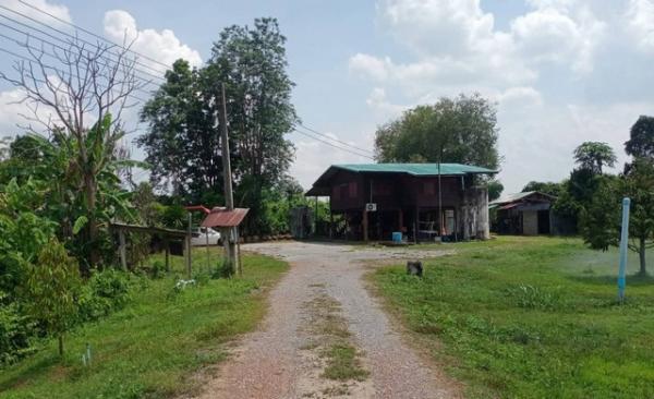 ���Թ ���ǹ �����¹