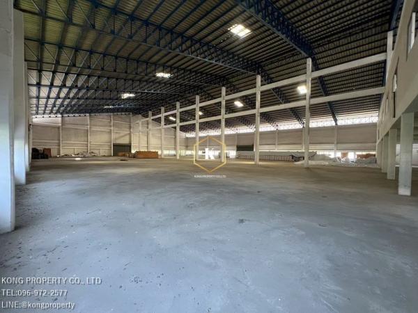 ��طû�ҡ�� �� Kong property