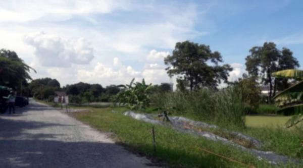 ���Թ 21 ���