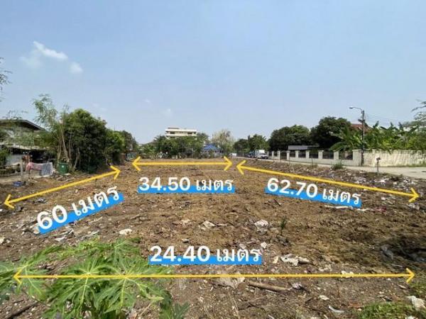 ��º֧���� �� coasset22