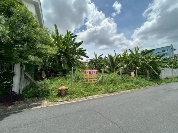 �ҧ�л� �� zionasset1