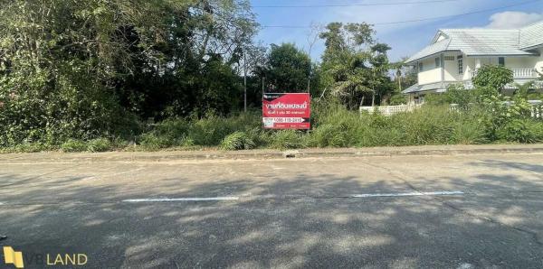 ���Թ�ѵ�պ �ź���