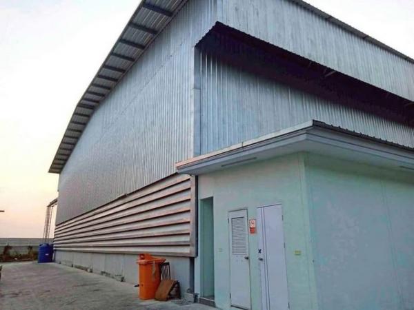 ���⡴ѧ �Ԥ��Ѳ�� ���ͧ