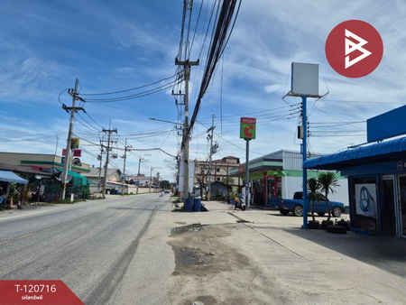 �Ҥ�þҳԪ�����������Ѻ�Ӹ�áԨ �ź���