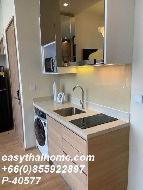 �͹� �Ѳ�� 55 ���ҧ����