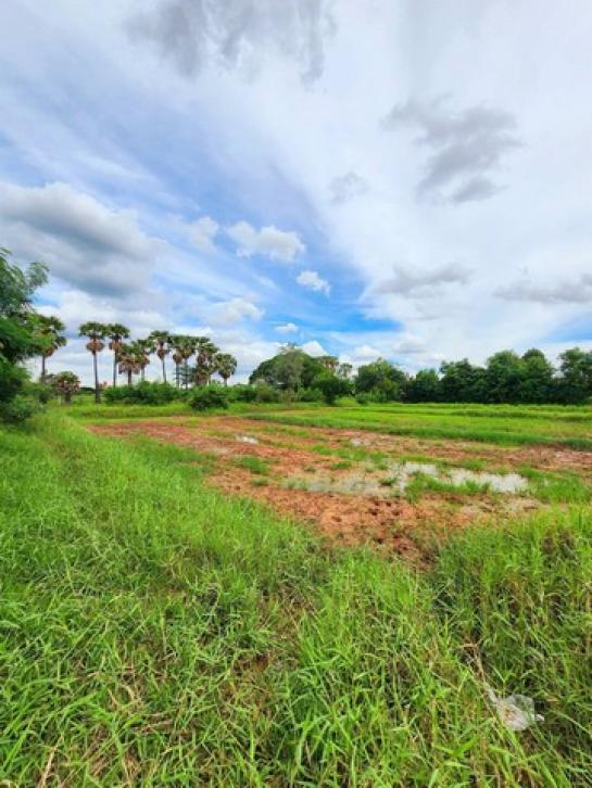 ����Ҫ���� �� Jyn Property