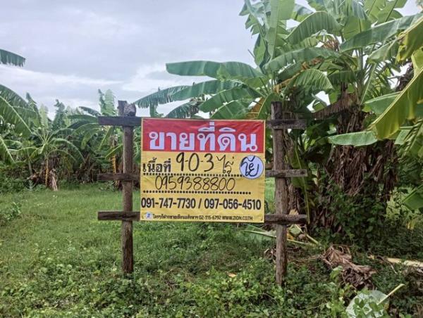 ������ �� zionasset1