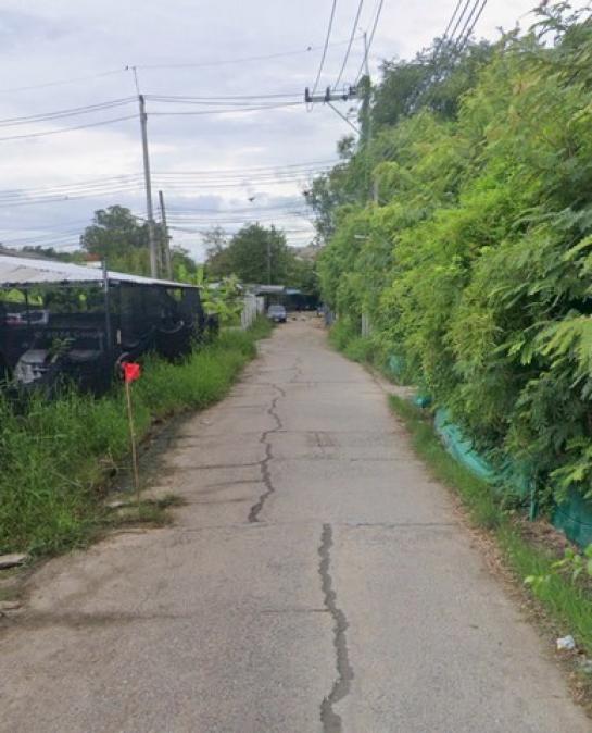 ������ �� zionasset1