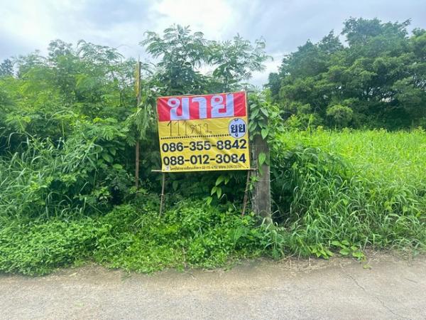 �ҧ�л� �� zionasset1