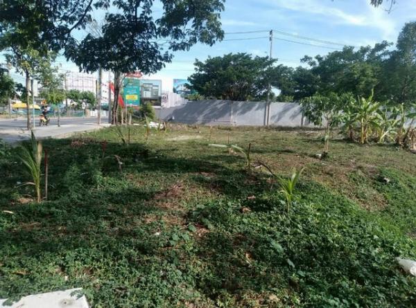 �ҧ�л� �� zionasset1