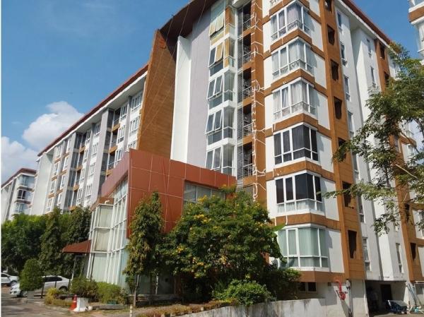 �͹ⴡ�ا෾ �� panaya.opalopal