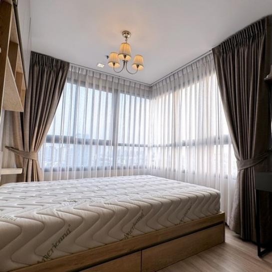 �͹�����յ֡�ѧ ���⢹�