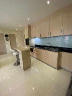 ��¤͹� �ҧ���ا