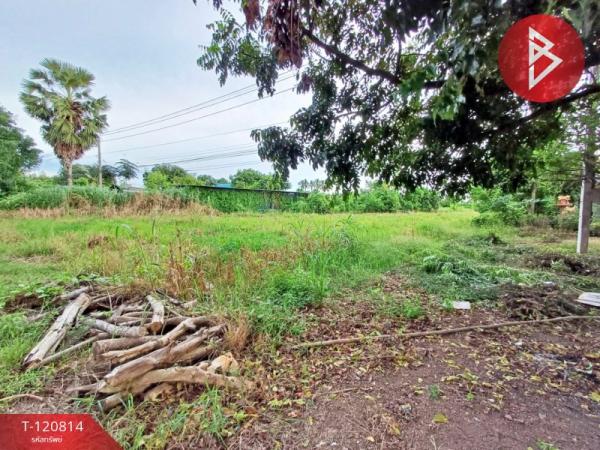 ���Թ �ԨԵ� 