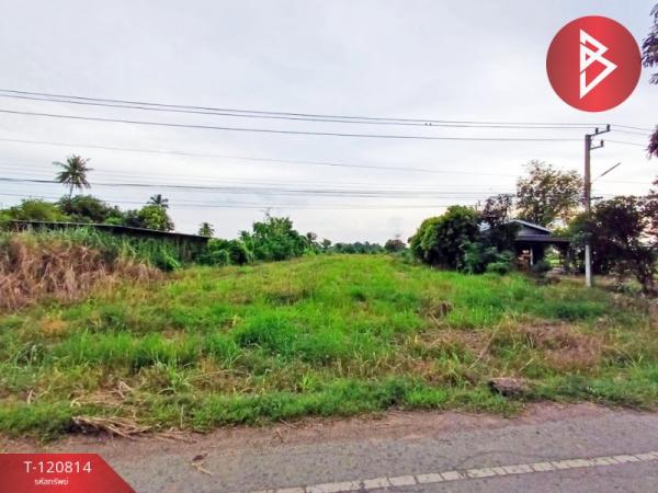 ���Թ �ԨԵ� �������ҡ�������