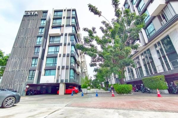 �͹��չ���� ��ا෾