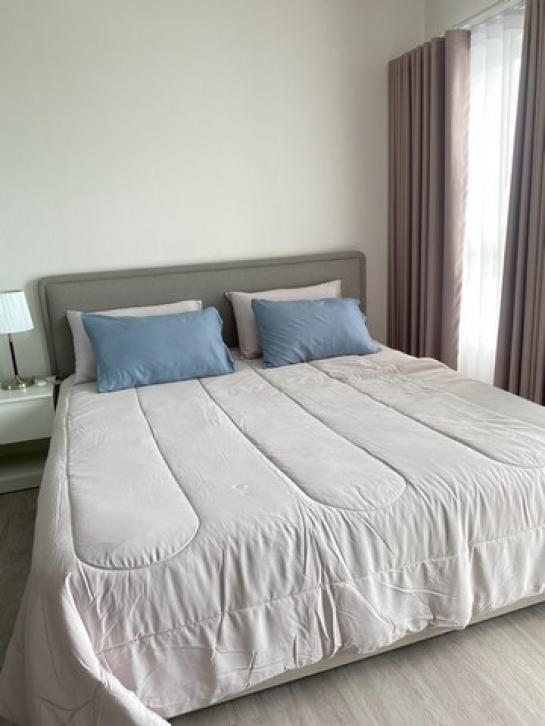 �͹������� ����Թ��ШǺ���բѹ��