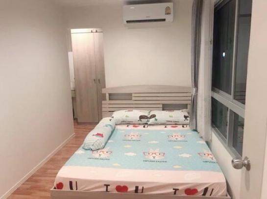 �͹������� �֧����