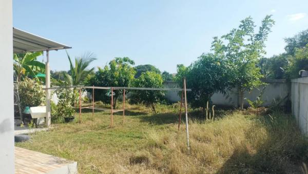 ��º�ҹ ���ͧ��¹ҷ ��¹ҷ