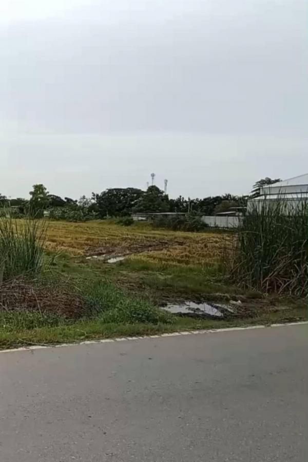 ขายที่ดิน เมือง 14 ไร่ ขายที่ดิน เมือง 14 ไร่