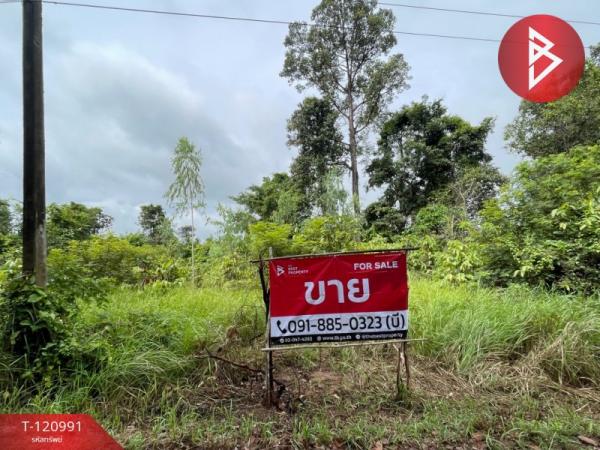 �ӹҨ��ԭ �� The Best Property Agent