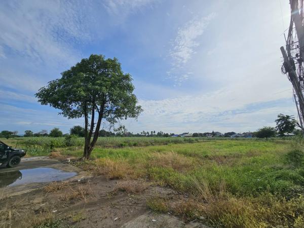 ���Թ 21 ���