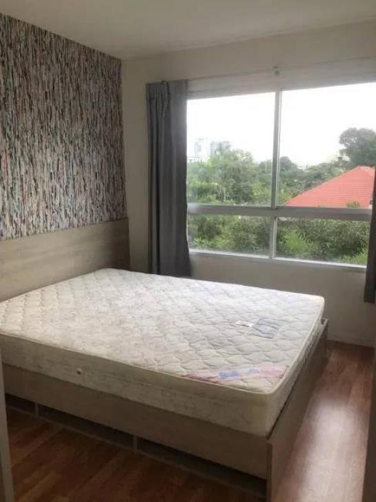 �͹����ͧ �� easythaihome