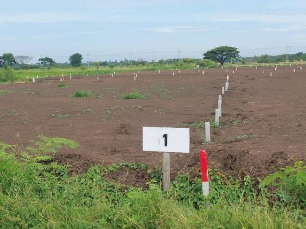 ���Թ�����ǧ ��й�������ظ��