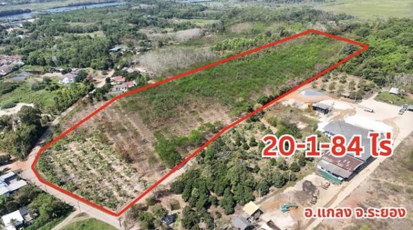 ���Թ ���ǹ �����¹