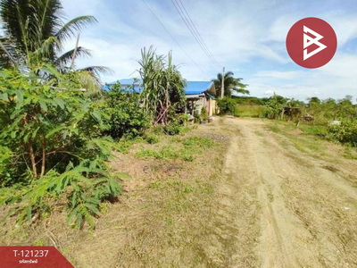 ����Ҫ� �� The Best Property Agent