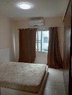 ������ �͹�