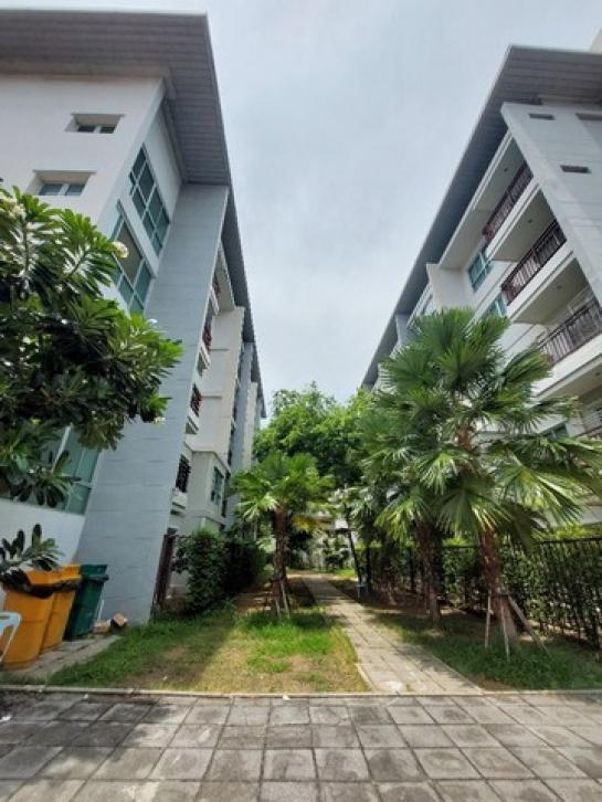 �͹���ѡ��� ��ا෾