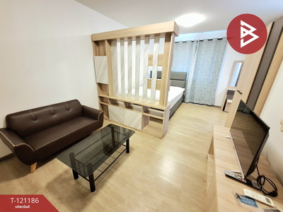 �͹� ����������ѹ