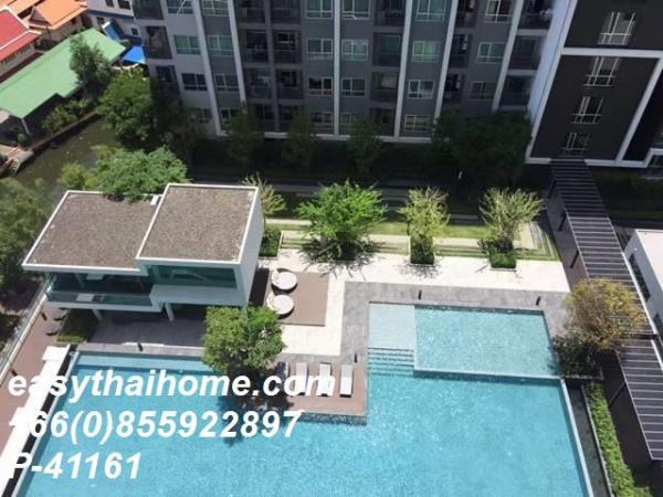 �͹����������¹�� ����ͧ