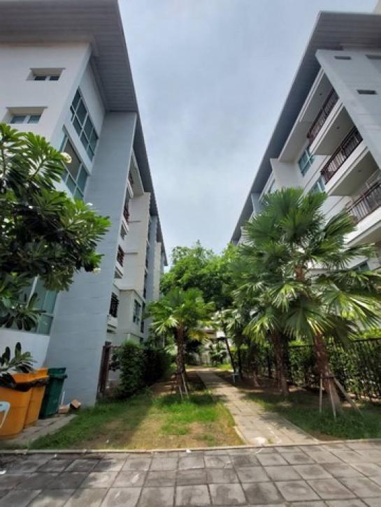 �͹���ѡ��� ��ا෾