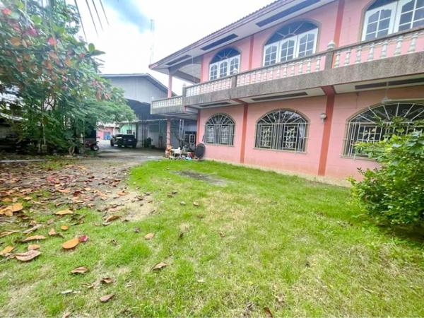 ��ط��Ҥ� �� nut.allentrepreneur