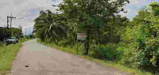 ที่ดิน lotus ที่ดิน lotus