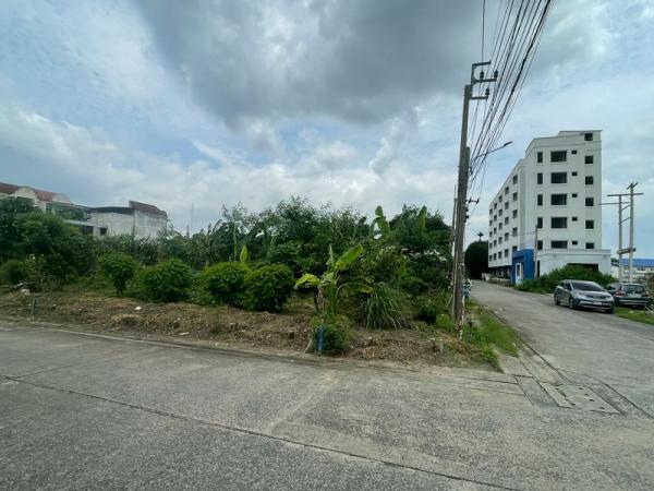 ที่ดิน lotus ที่ดิน lotus