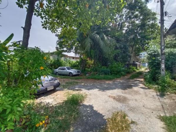 ���Թ �ҧ��Ѵ