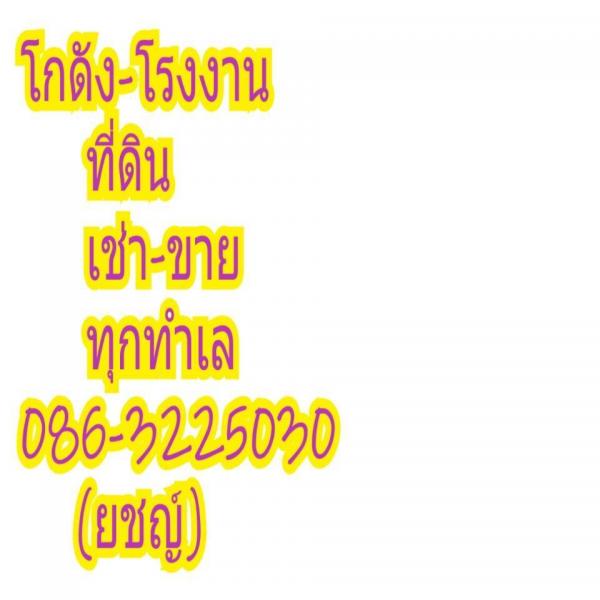 �ç�ҹ������ �ҧ������