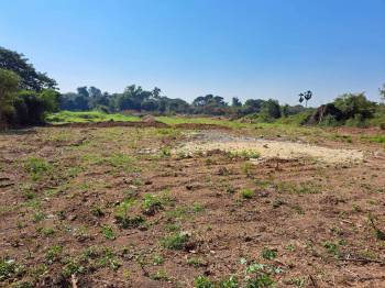 ��·��Թ �����ҧ�ͧ