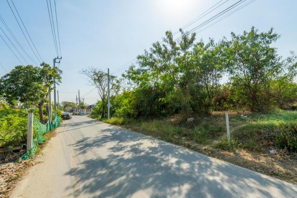 ���Թ������ �ҡ���