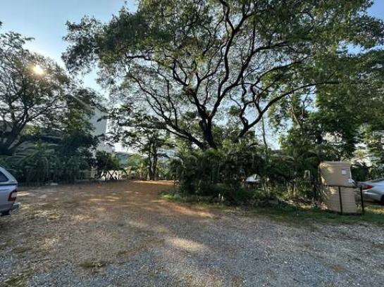 ขายที่ดินbtsขาย ขายที่ดินbtsขาย