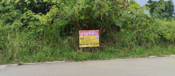 ที่ดิน lotus ที่ดิน lotus