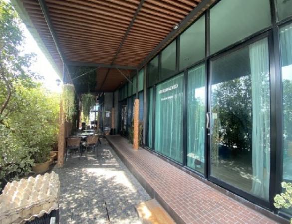 �Ҥ�þҳԪ��  ������